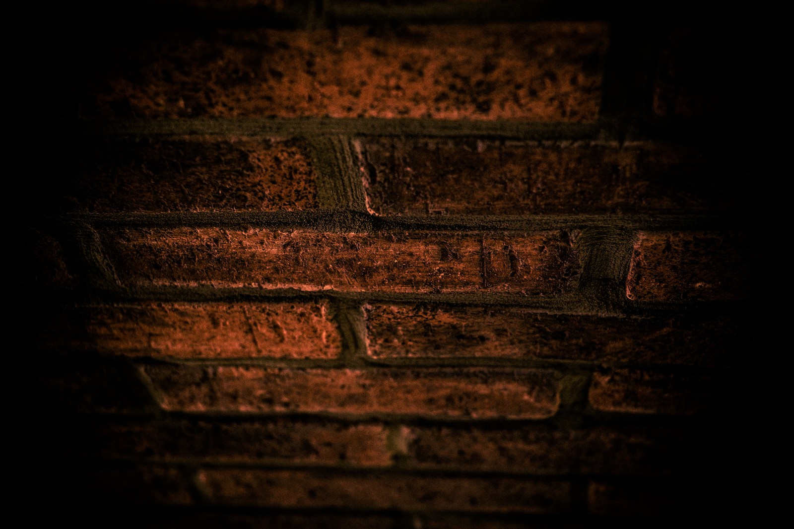 DSCF2455-2_TP_V